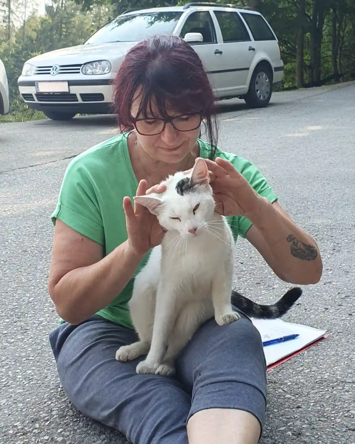 Tierenergetik mit Katze