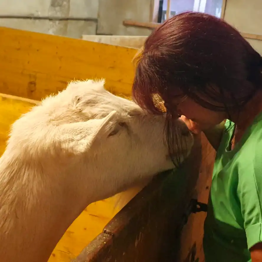 Tierkommunikation Susi Farkas